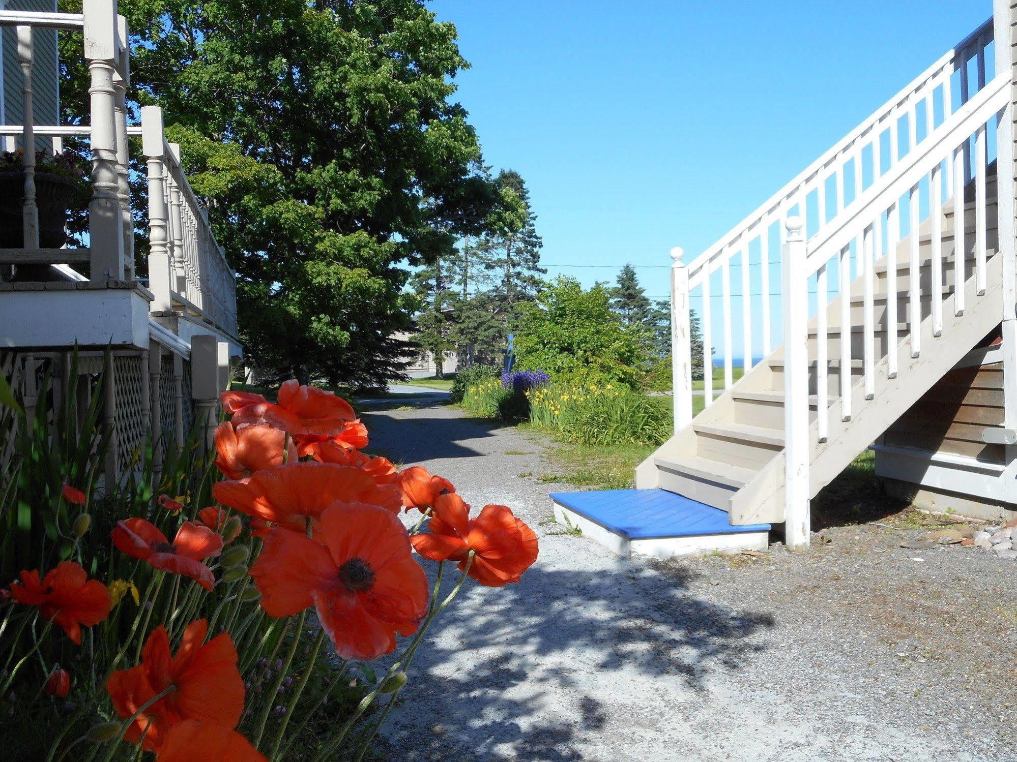 Tidal Watch Inn Saint Martins Exterior foto